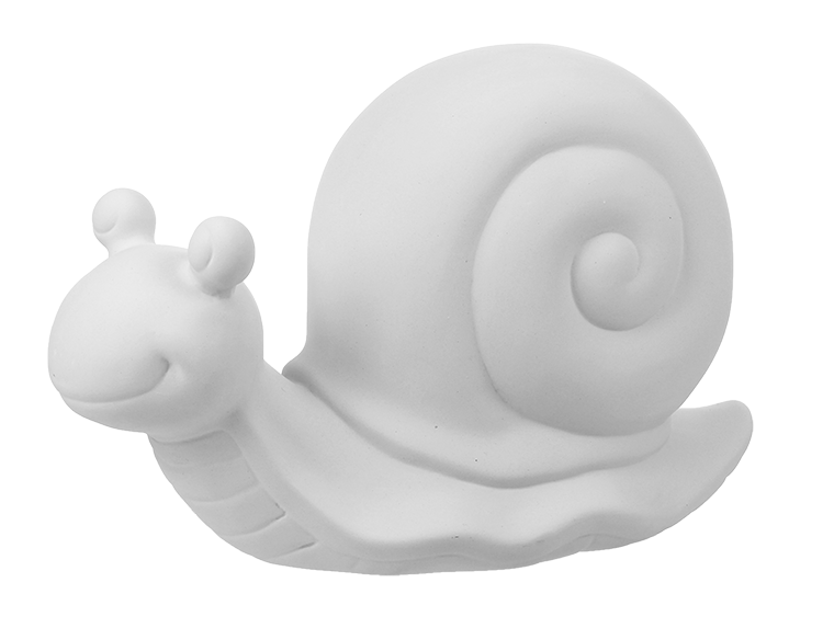 Garden Snail