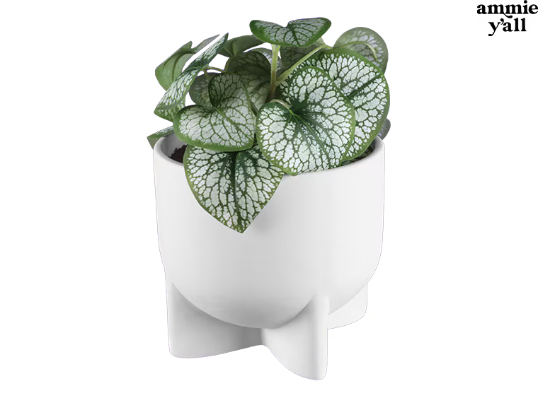 Build-Your-Own Pottery To-Go Kit!