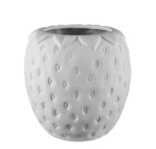 Strawberry Planter